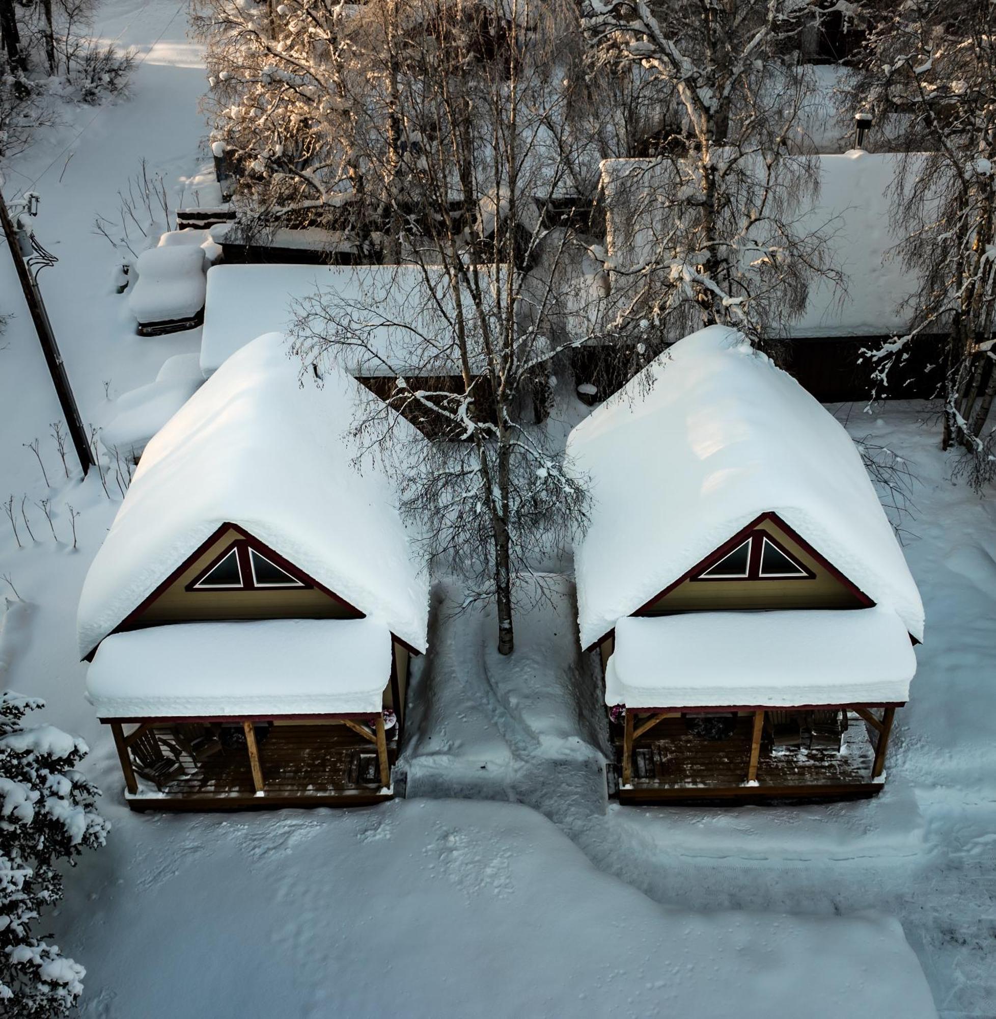 Downtown Talkeetna Cabin! Susitna Cabin Exteriör bild
